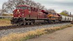 CP 8865 leads B454.